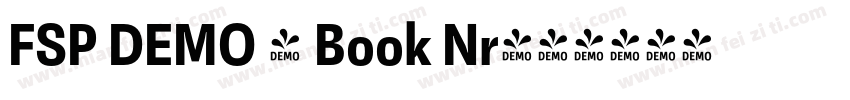 FSP DEMO - Book Nr字体转换